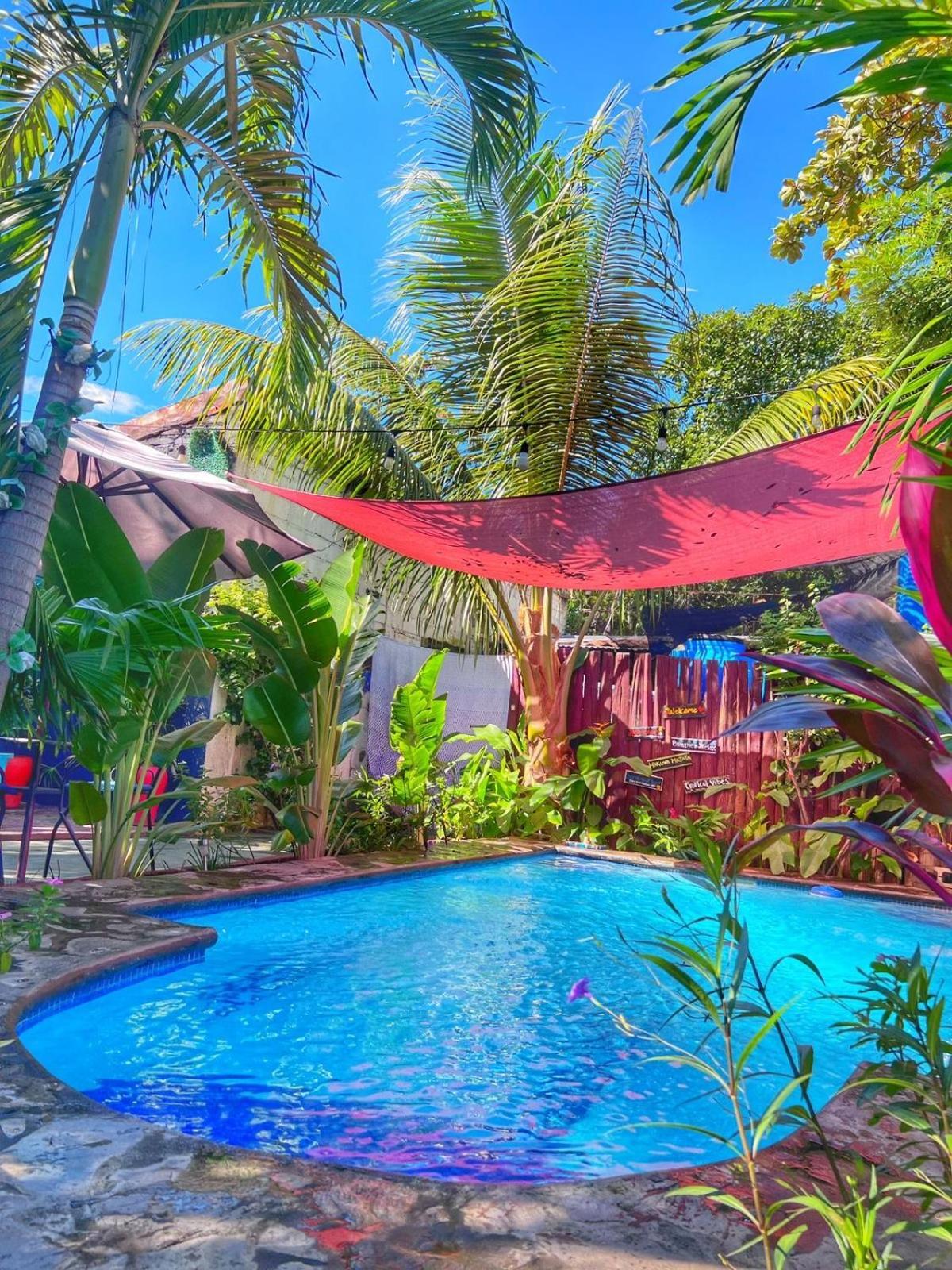 Hotel Al Sole León Екстериор снимка